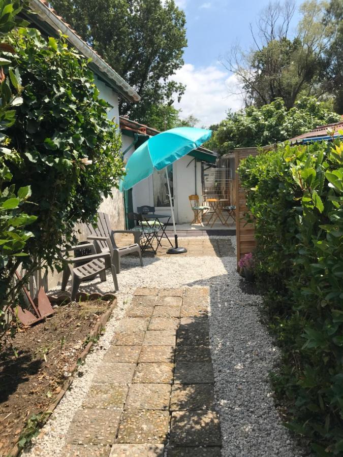 Appartement Entre Ocean Et Montagne 15Bis Avenue De Montbrun Anglet Eksteriør bilde